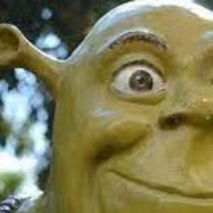 Meet your Posher, Jane